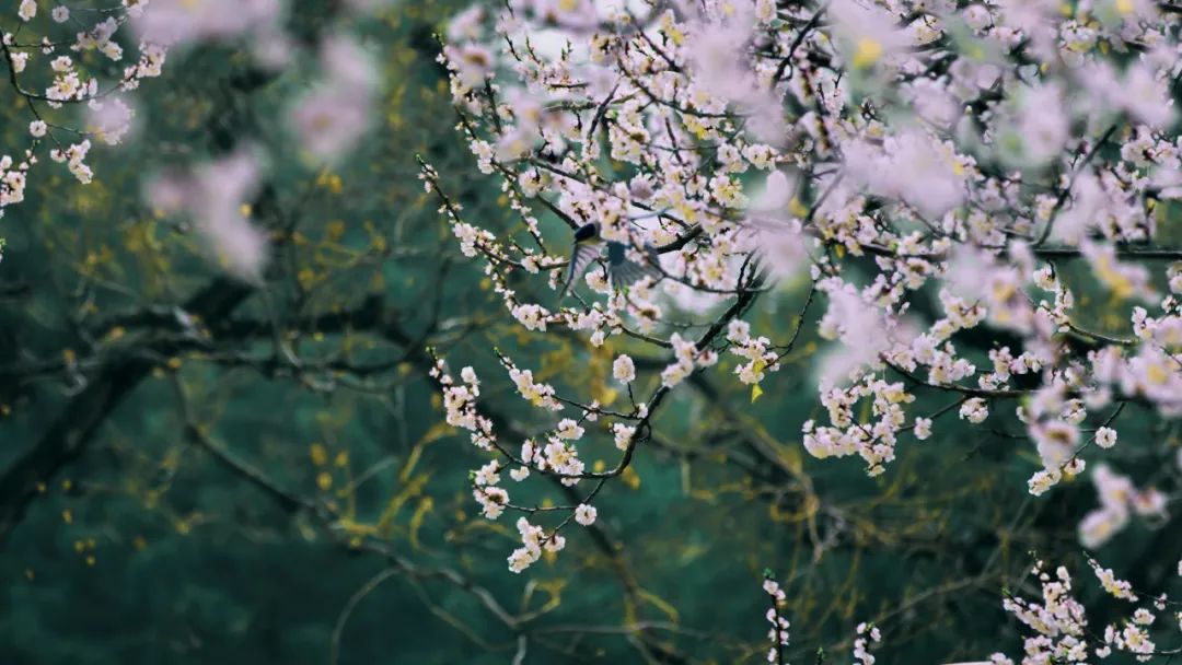 结算审核的策略和节奏